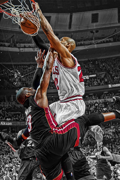 d wade poster