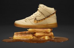 Nike SB Dunk High Premium Waffle