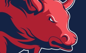 Chicago Bulls Logo Concept