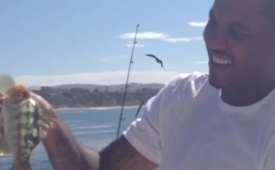 Carmelo Anthony Catches A Fish With His Bare Hands