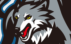 Minnesota Timberwolves Logo Concept