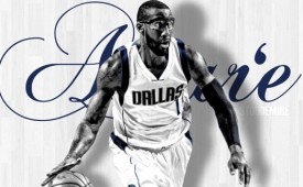 Dallas Mavericks Sign Amare Stoudemire