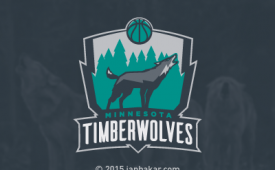 Rebranding the Minnesota Timberwolves Project